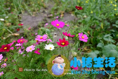 唐山市内旅游景点大全