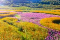 唐山市内旅游景点大全