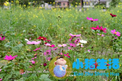 唐山市内旅游景点大全