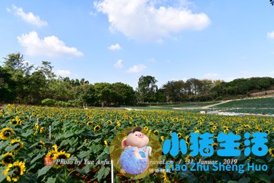 唐山市内旅游景点大全
