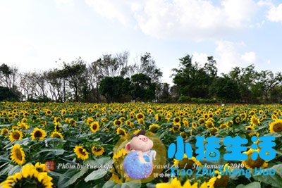 唐山市内旅游景点大全