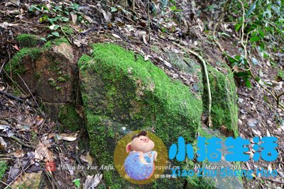 唐山市内旅游景点大全