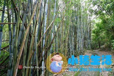 唐山市内旅游景点大全