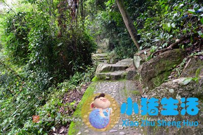 唐山市内旅游景点大全
