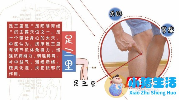 中医局部减肥