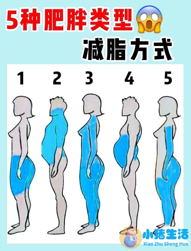 中医局部减肥