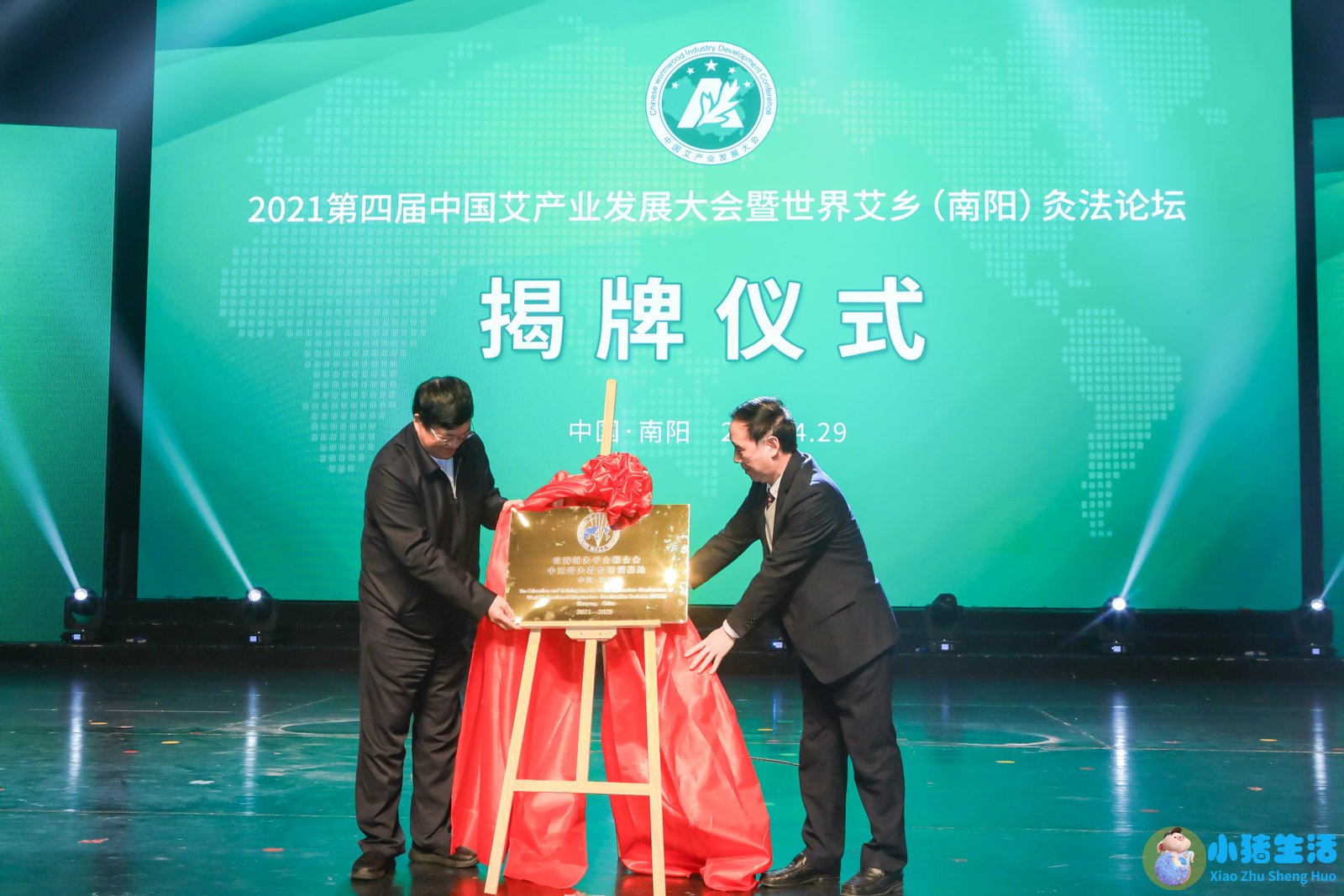 南阳新闻张仲景医学交流会