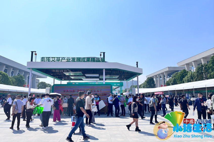 南阳新闻张仲景医学交流会