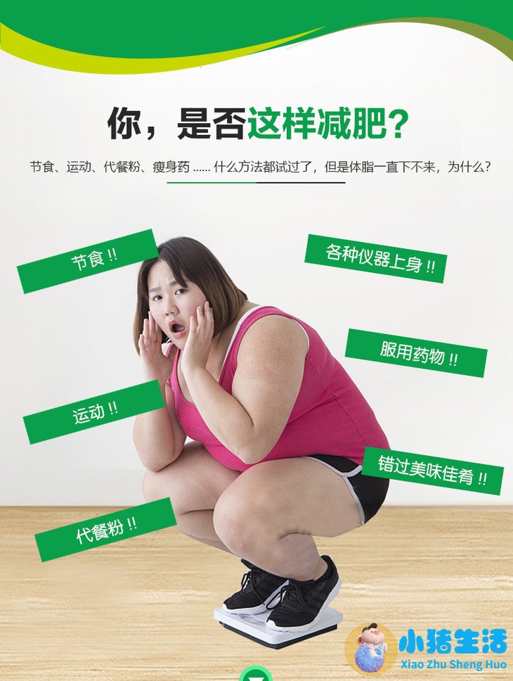 长轻健康：用营养科学的减肥方式，吃出