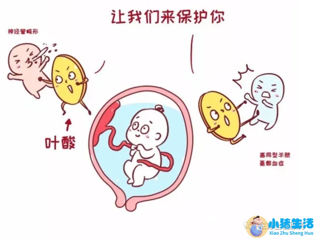 试管婴儿会有无脑儿吗