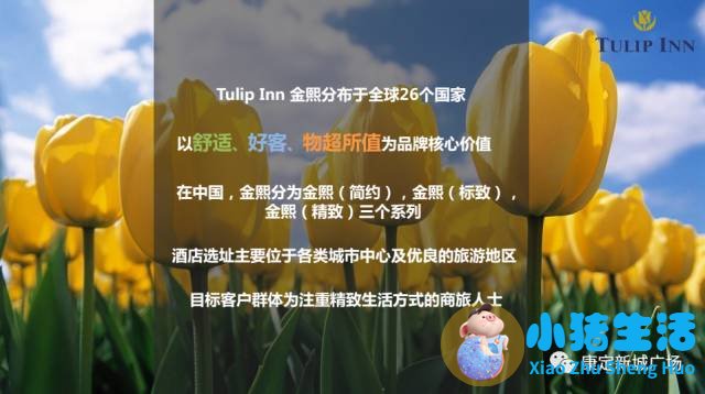 康定城内有什么好玩的