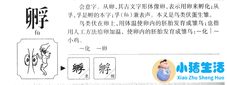 动物生活百科