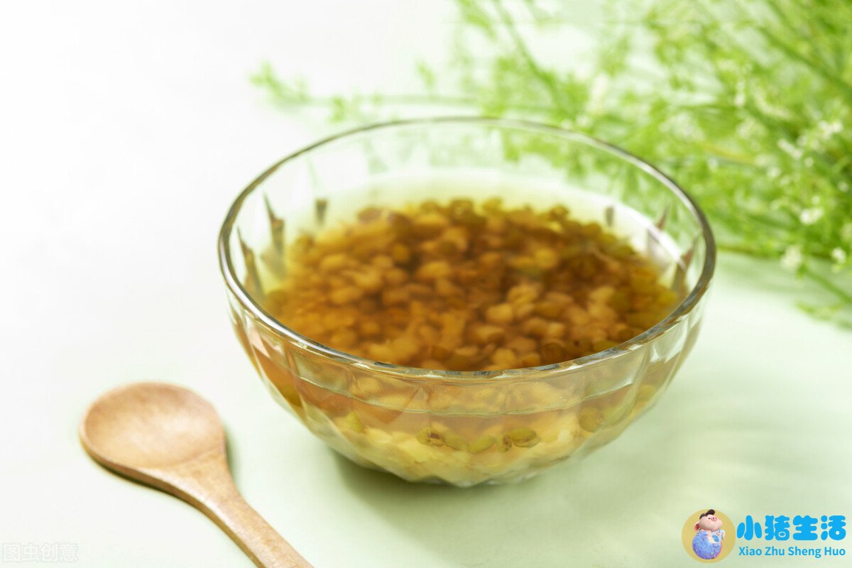 降火的食物食物养生知识大全集