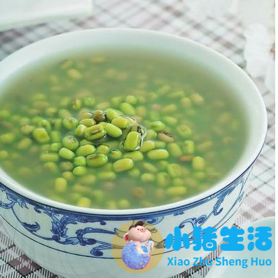 降火的食物食物养生知识大全集
