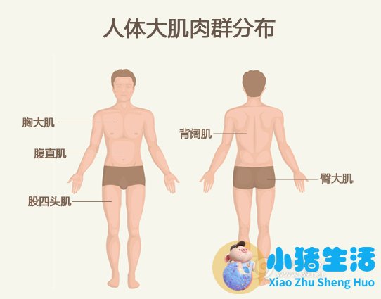 运动顺序