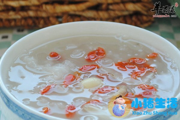 降火的食物食物养生知识大全集