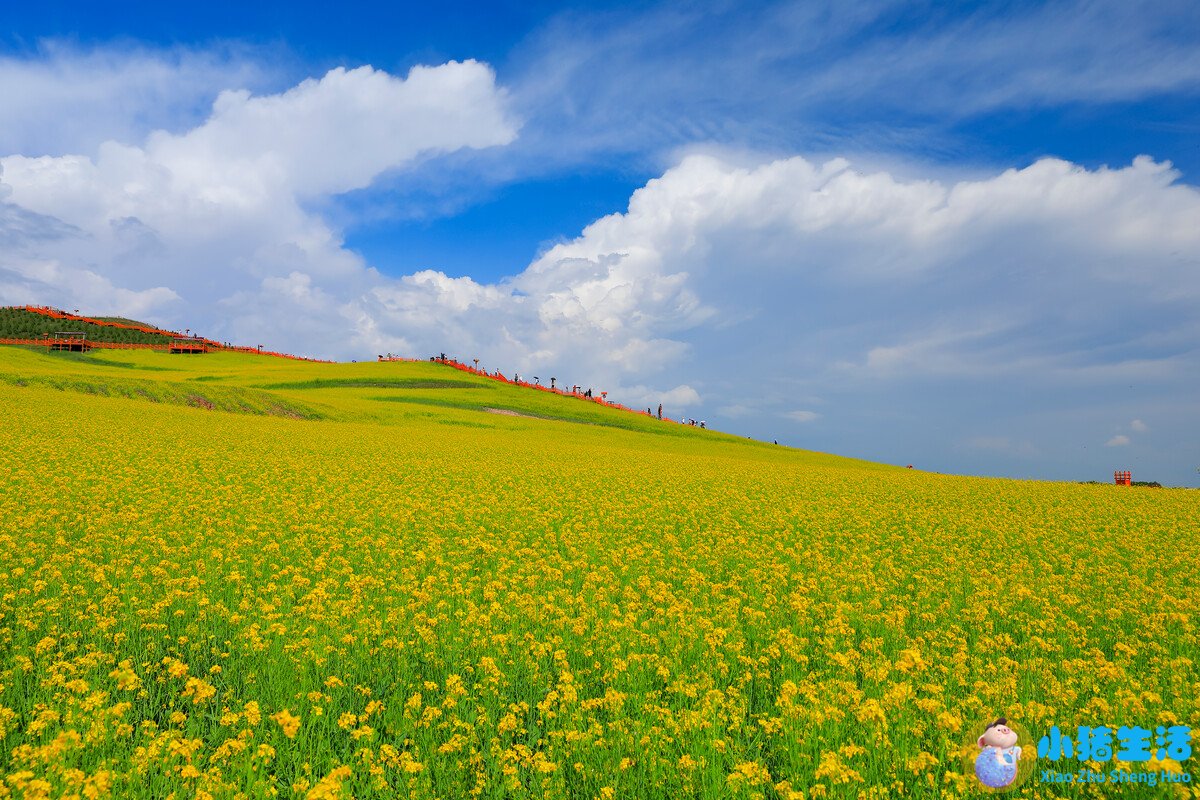 四川阿坝旅游地图