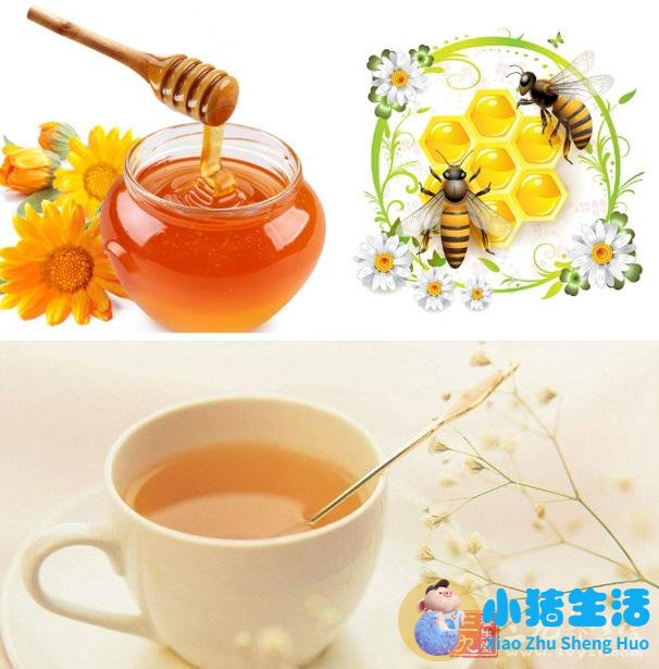 冬季养生小知识食品安全知识