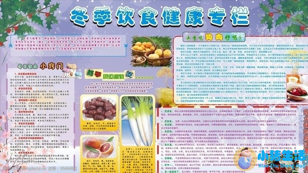 冬季养生小知识食品安全知识