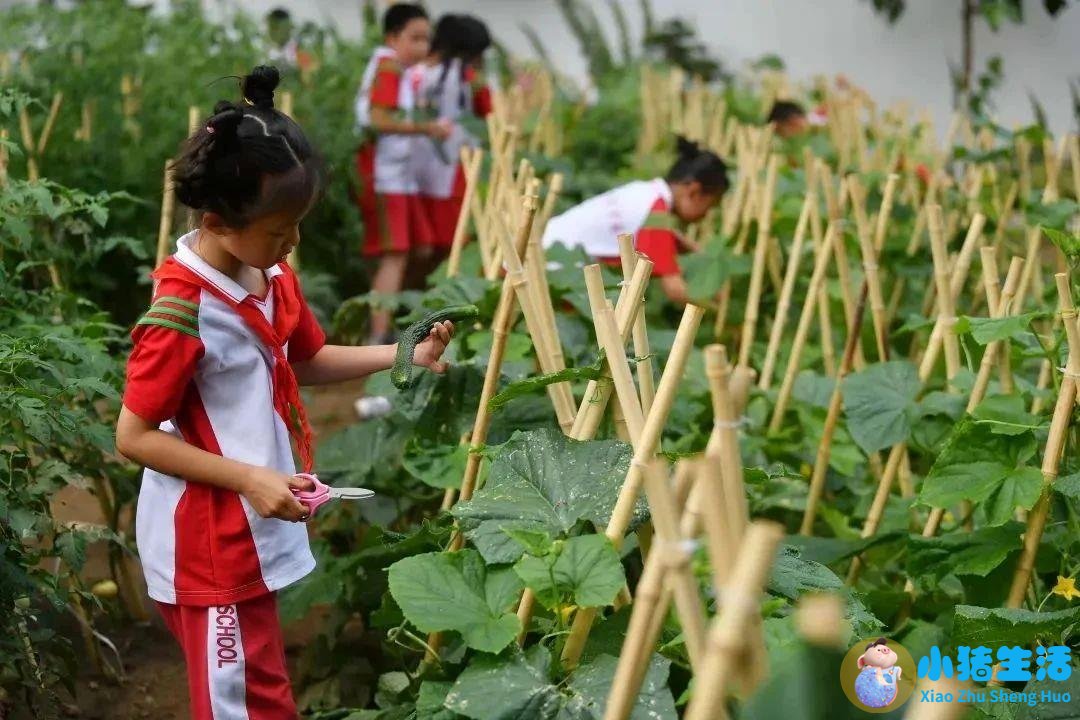 万事人不愁：生活百科金点子大全