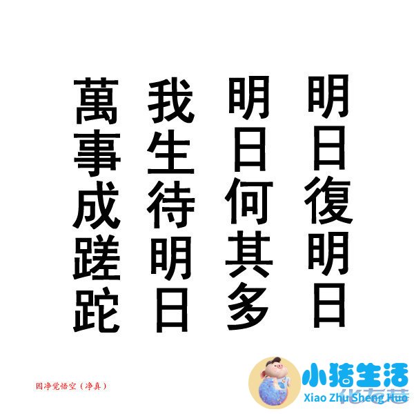 万事人不愁：生活百科金点子大全