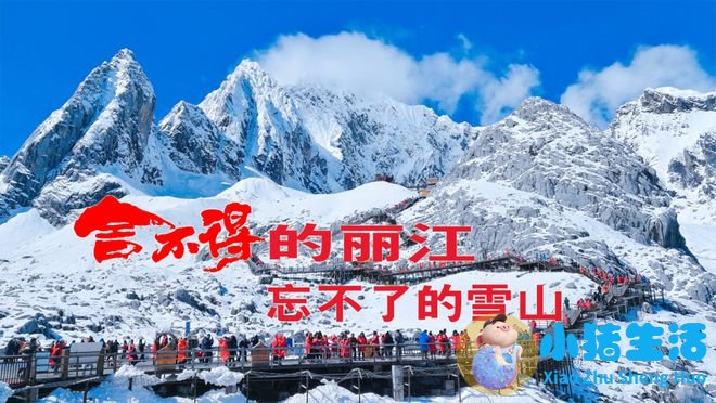 丽江市旅游局局长