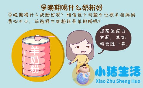 肾脏移植配方猫粮健康猫咪可以吃吗