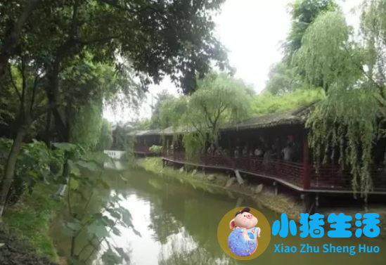2024若尔盖最佳旅游时间