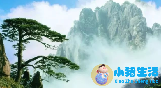 2024若尔盖最佳旅游时间