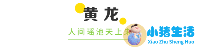 2024若尔盖最佳旅游时间