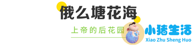 2024若尔盖最佳旅游时间