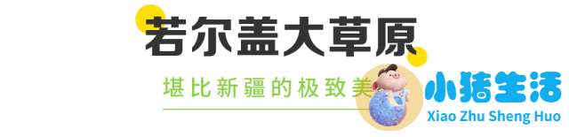 2024若尔盖最佳旅游时间