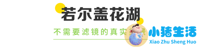 2024若尔盖最佳旅游时间