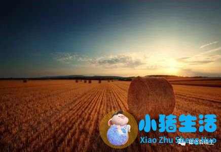五月份适合去哪旅游