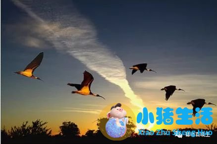 五月份适合去哪旅游