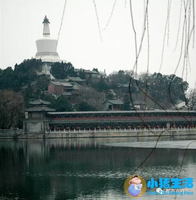 五月份适合去哪旅游