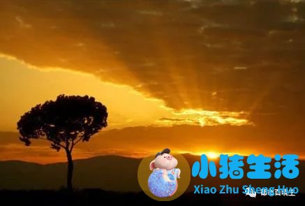 五月份适合去哪旅游