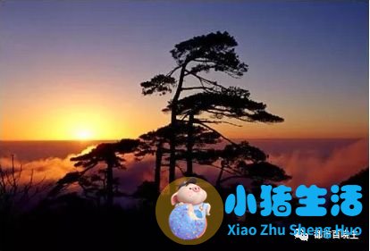 五月份适合去哪旅游