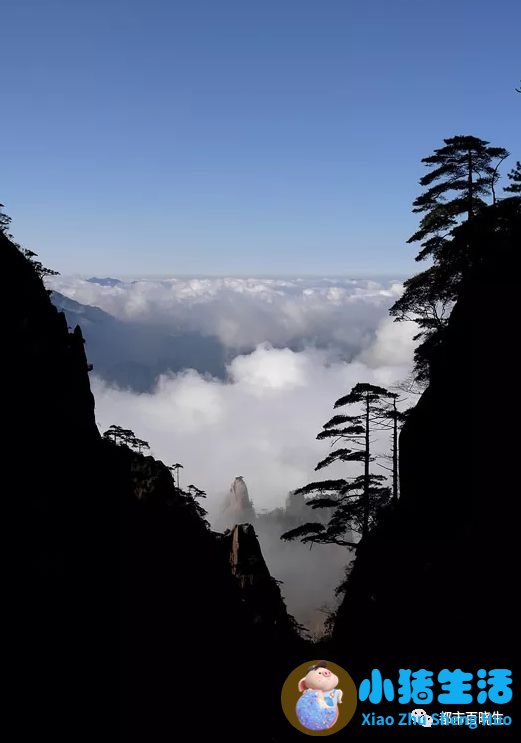 五月份适合去哪旅游