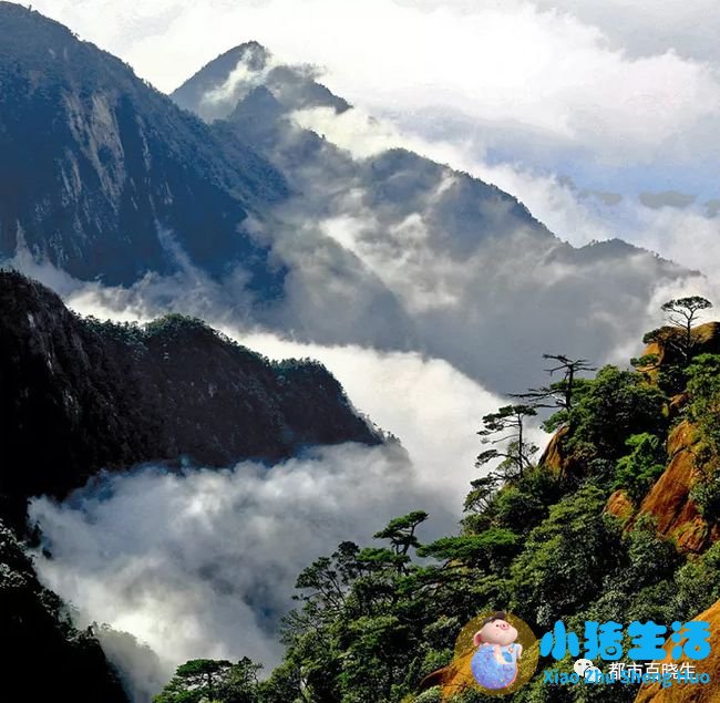 五月份适合去哪旅游