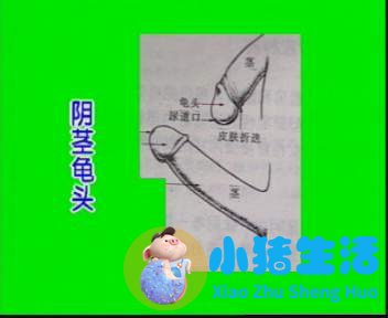 男性保健按摩法
