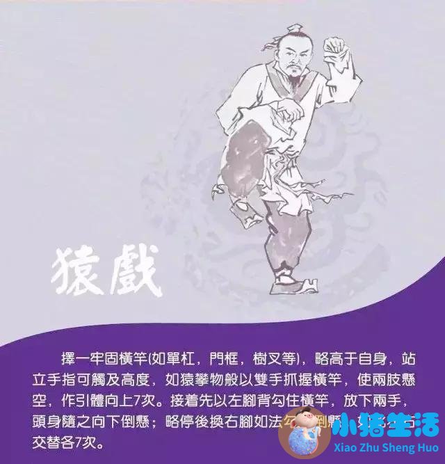 健身气功五禽戏的形成与发展