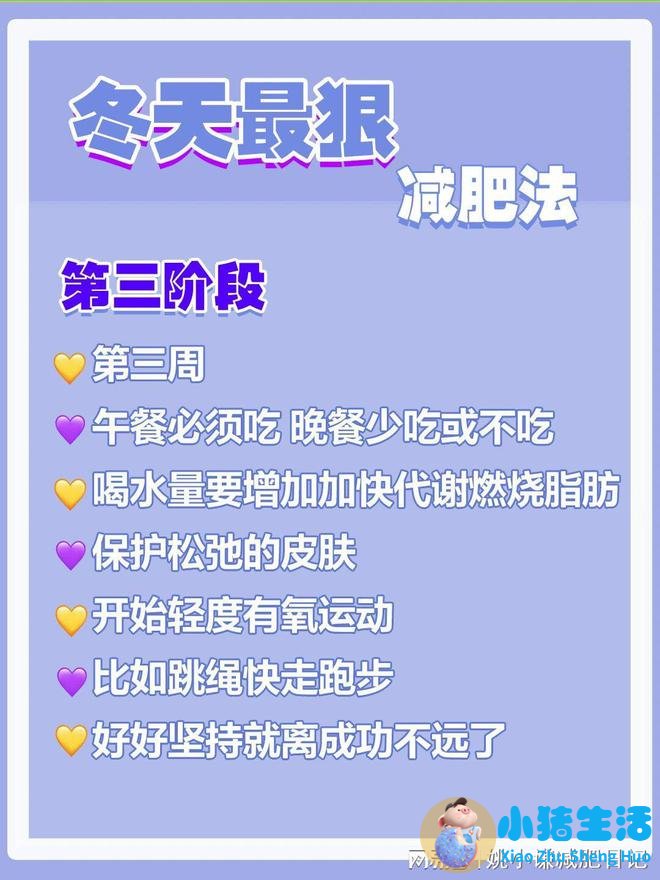 最好的科学减肥