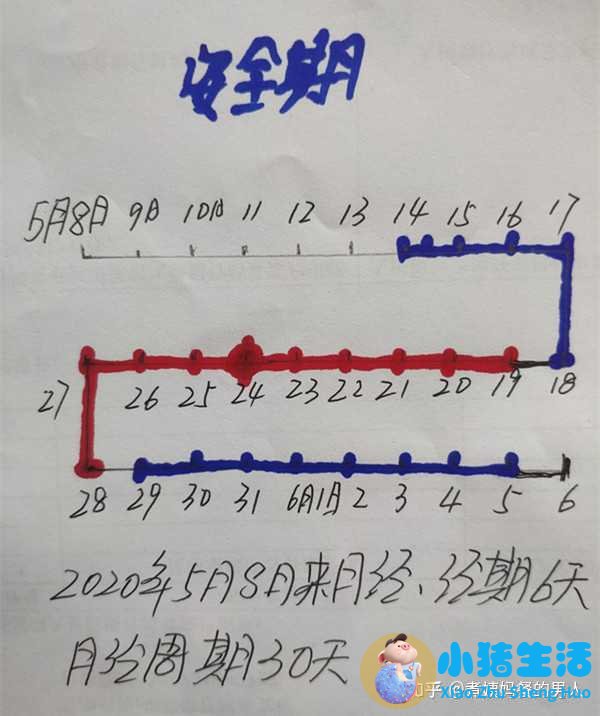 怀孕26天