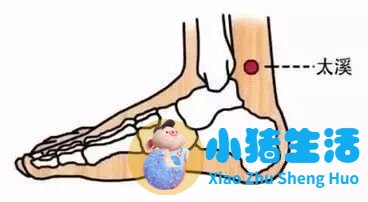 大寒养生女性养生