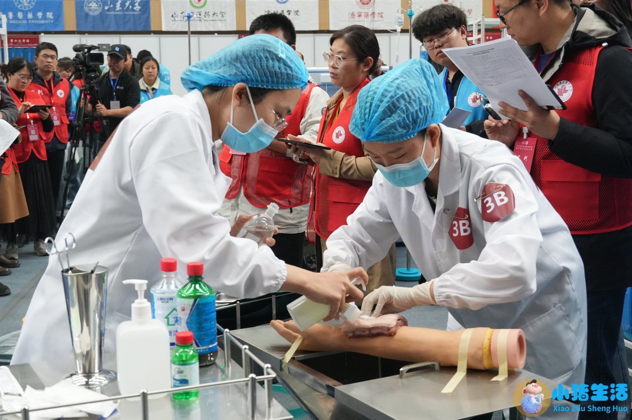 2024医学新闻
