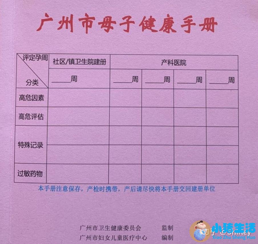 怀孕nt能不能看出来男女性别