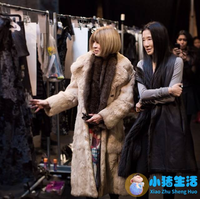 时尚女人创业