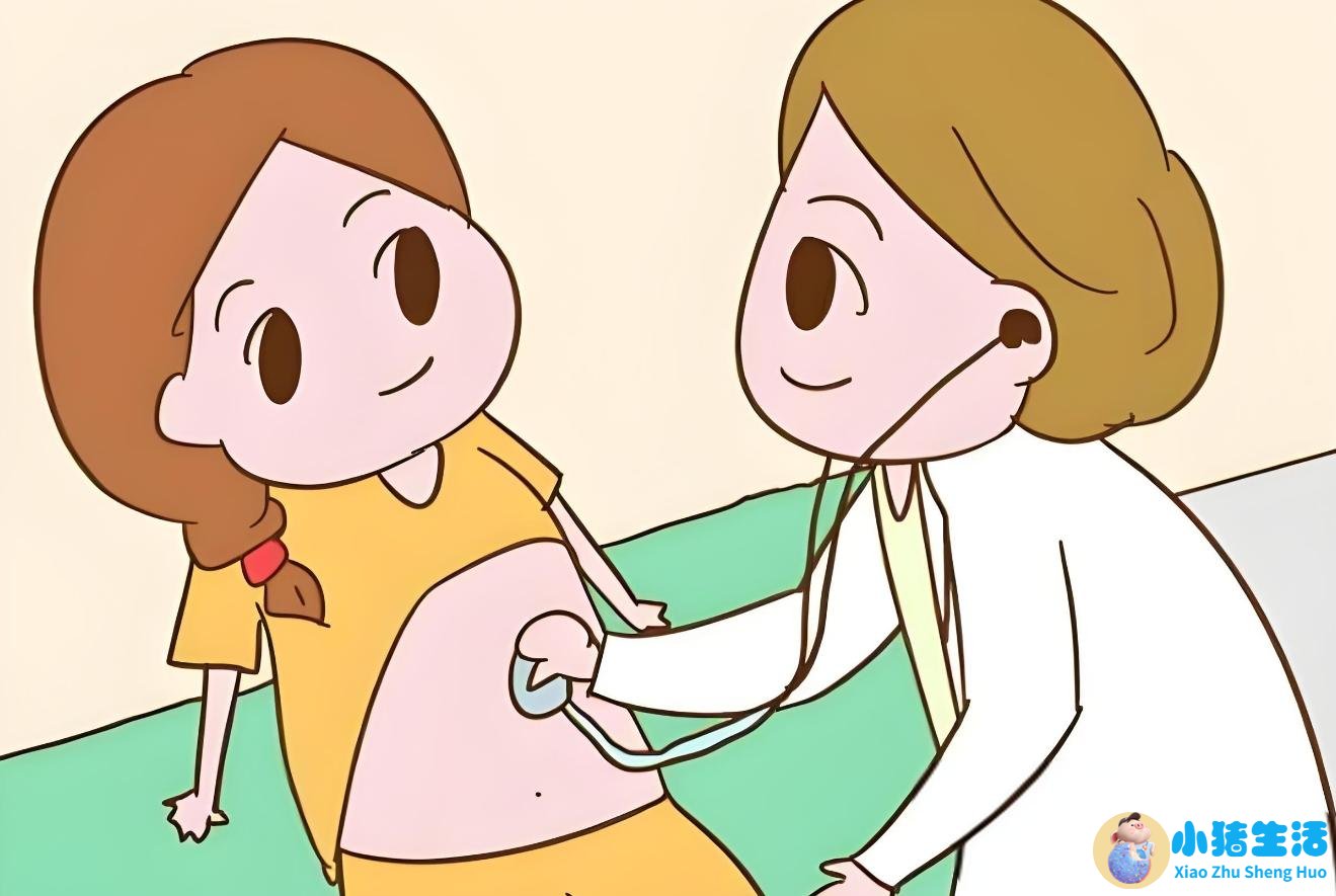 怀孕nt能不能看出来男女性别