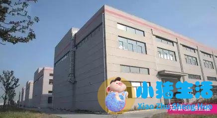 运动减肥俱乐部加盟